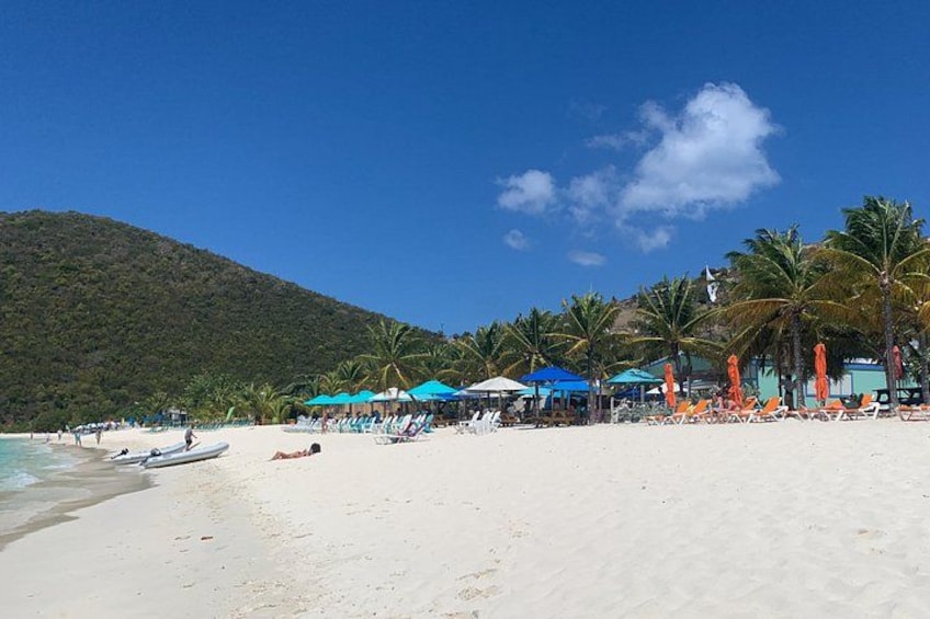 A beach with white sand, palm trees, and blue umbrellas. 5