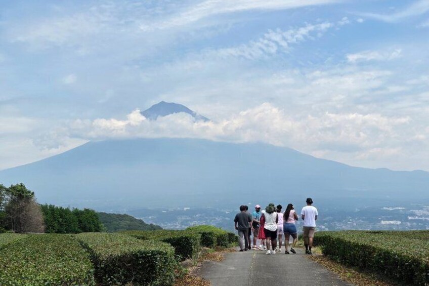 Short Tour to View Mt. Fuji from Various Angles from Shimizu Port 3