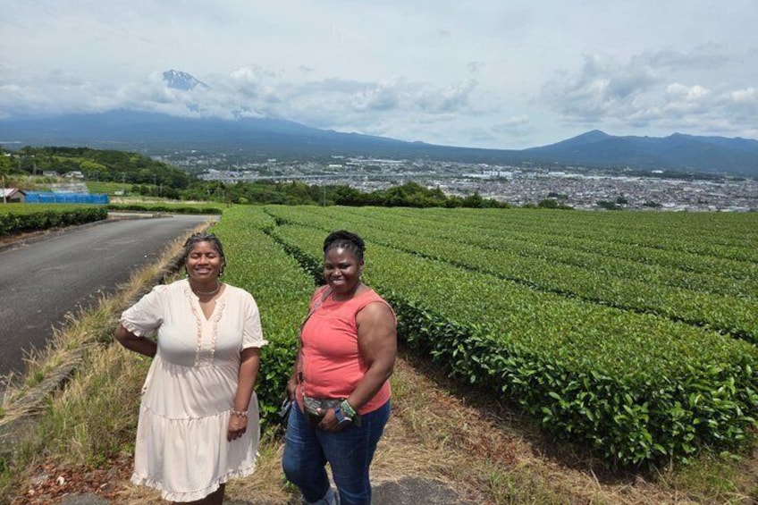 Short Tour to View Mt. Fuji from Various Angles from Shimizu Port 3