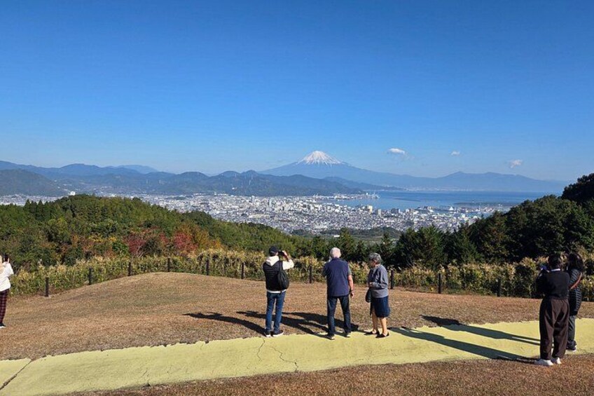 Half-day Tour to View Mt.Fuji at Various Angles from Shimizu Port 4