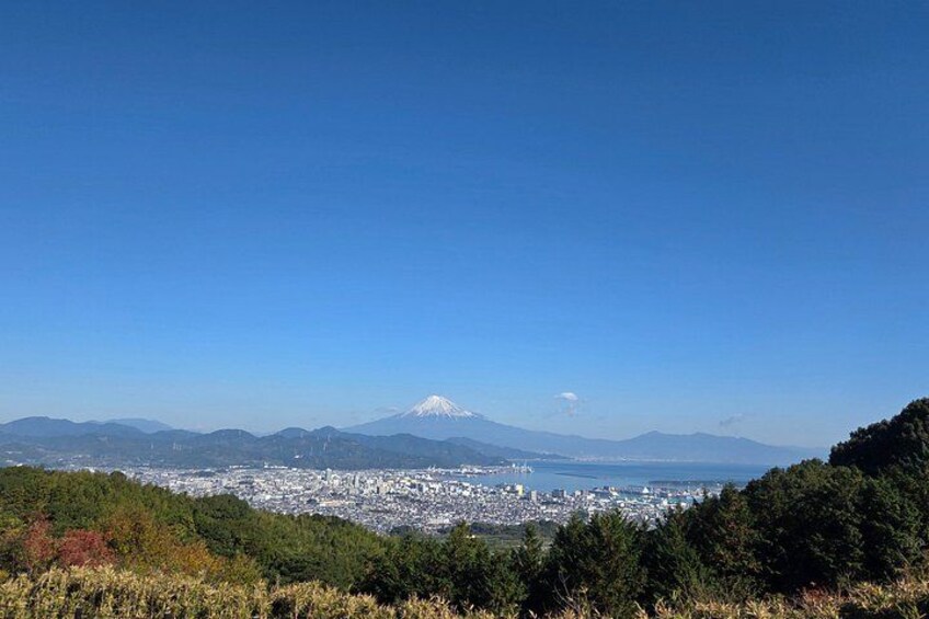 Half-day Tour to View Mt.Fuji at Various Angles from Shimizu Port 5
