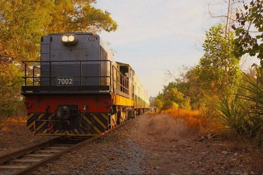Saturday Sunset Train Tour 1