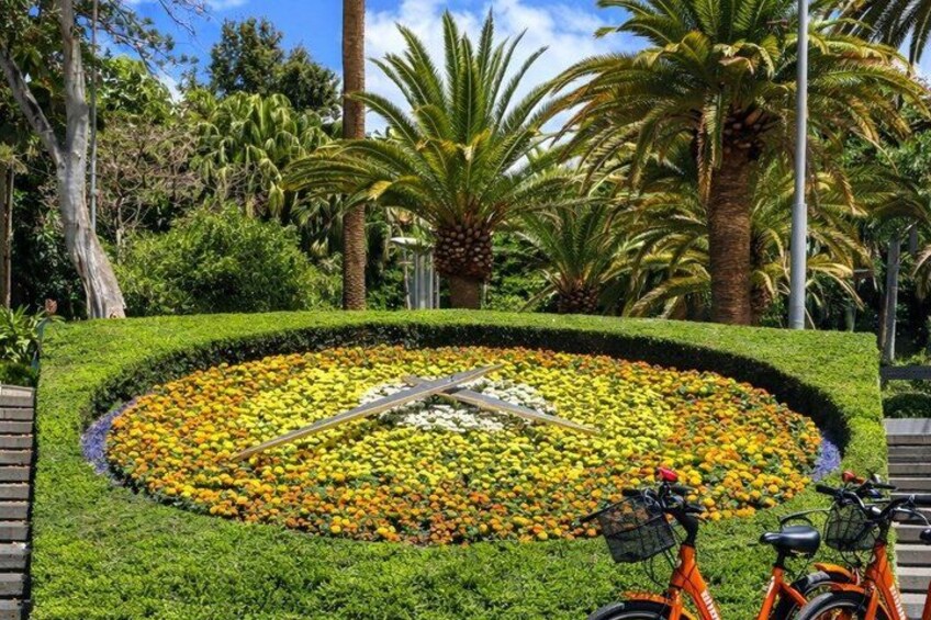 Santa Cruz de Tenerife Highlights Bike Tour with E-Bike Option 2