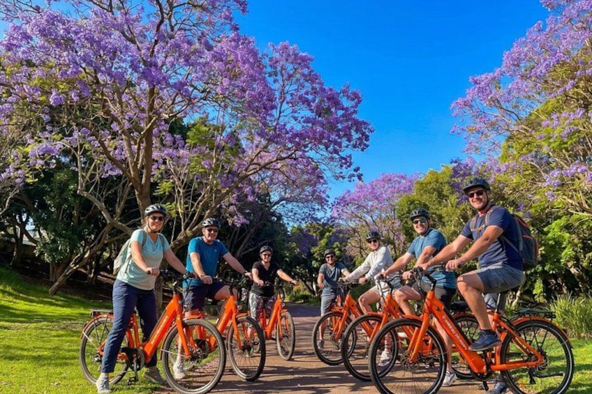 Santa Cruz de Tenerife Highlights Bike Tour with E-Bike Option 1