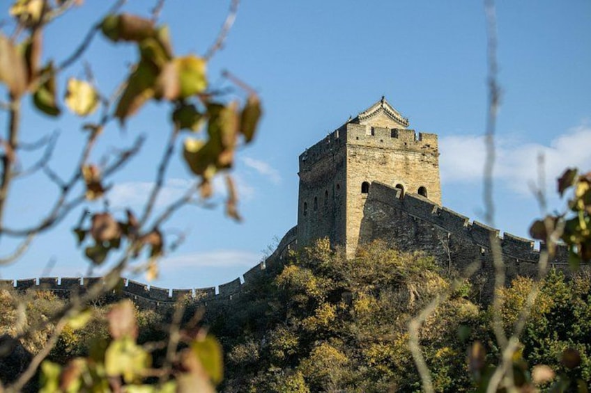 A historic stone tower with battlements, surrounded by dense shrubbery and trees. 2