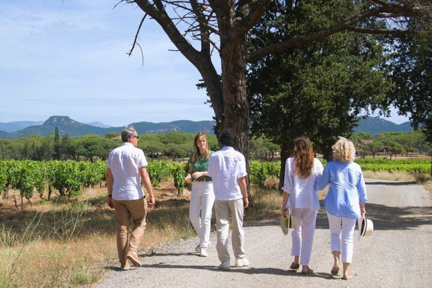 A day in the vineyards of Provence Check-out from Fréjus. 2