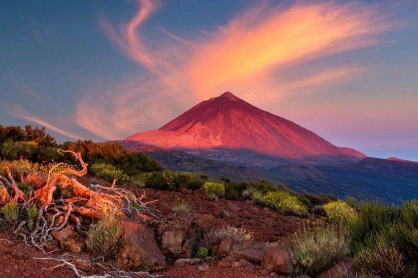 VIP Tenerife Tour For you with Private Guide & Lux Car 4