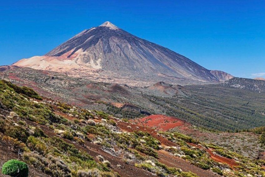 VIP Tenerife Tour For you with Private Guide & Lux Car 3