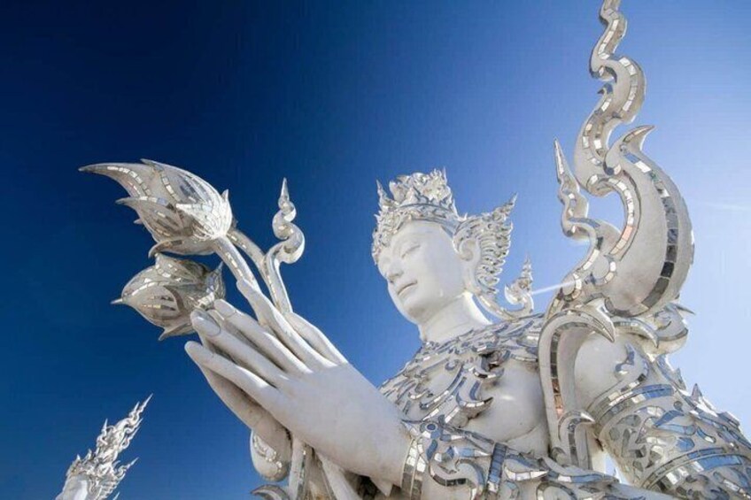 Chiang Mai White and Blue Temple Black Museum and Golden Triangle 3