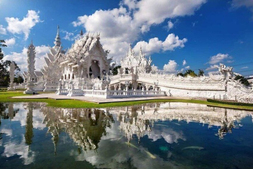 Chiang Mai White and Blue Temple Black Museum and Golden Triangle 4