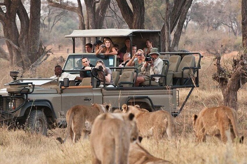 A safari vehicle with passengers observing wildlife in a savanna. 1