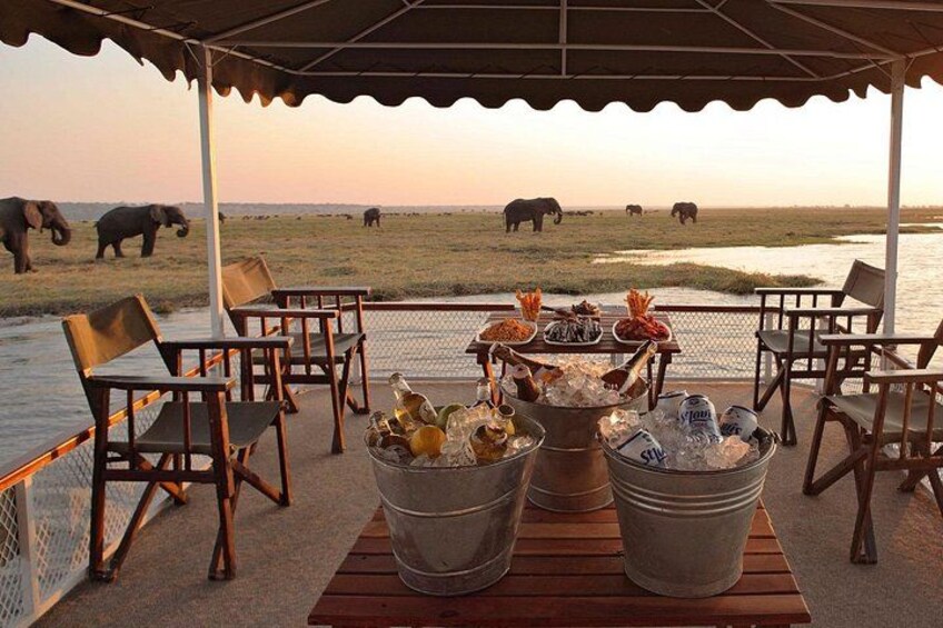 A dining area with chairs and tables, a buffet with food and drinks, and elephants in the background. 3