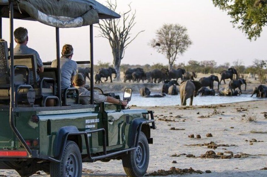 Chobe Full Day Trip from Victoria Falls 2