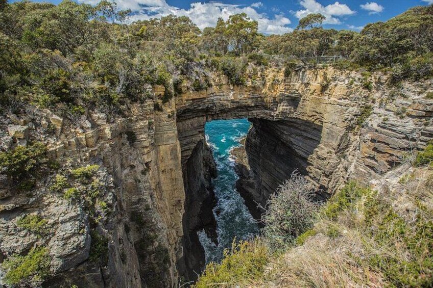 4 Day Bundle - Hobart, Port Arthur, Bruny, Hastings and Tahune 2