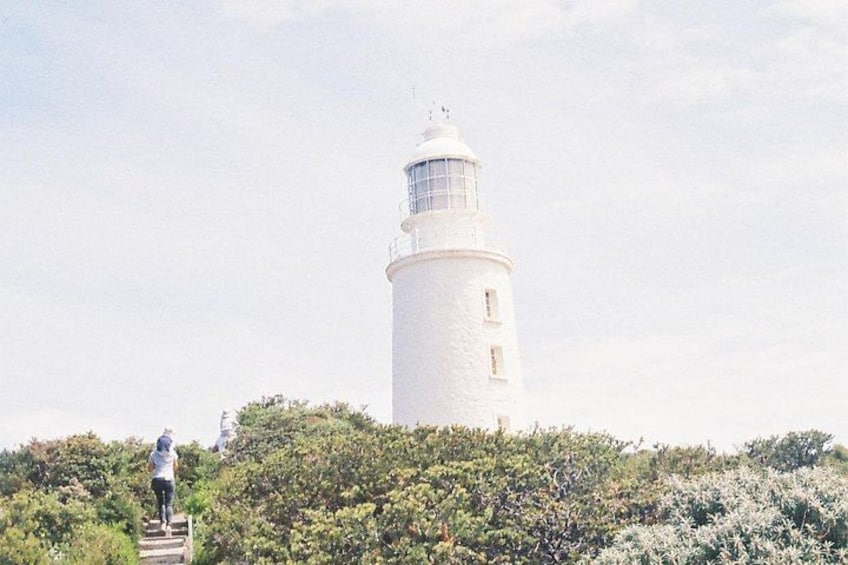 4 Day Bundle - Hobart, Port Arthur, Bruny, Hastings and Tahune 3
