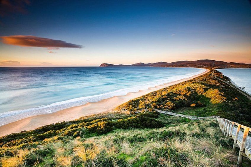 A coastal landscape with a beach, grassy dunes, and a wooden fence. 1