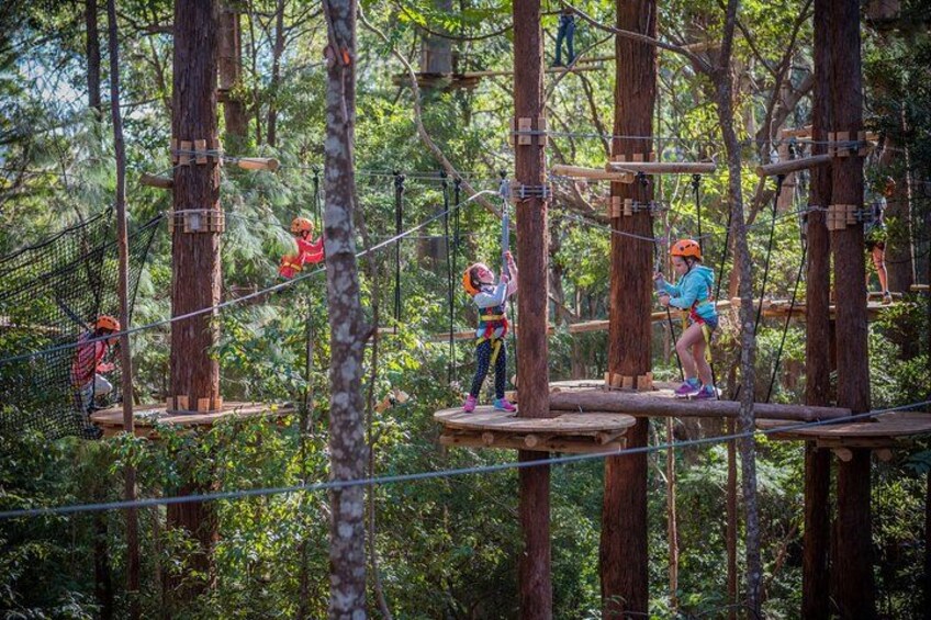People on a forested obstacle course with wooden platforms and ropes. 2