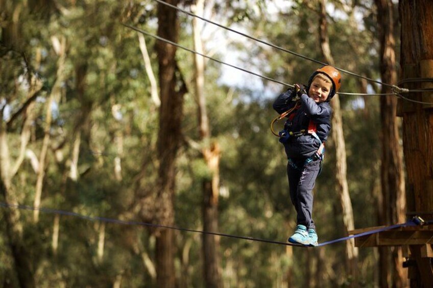 A person on a zip line in a forest. 5