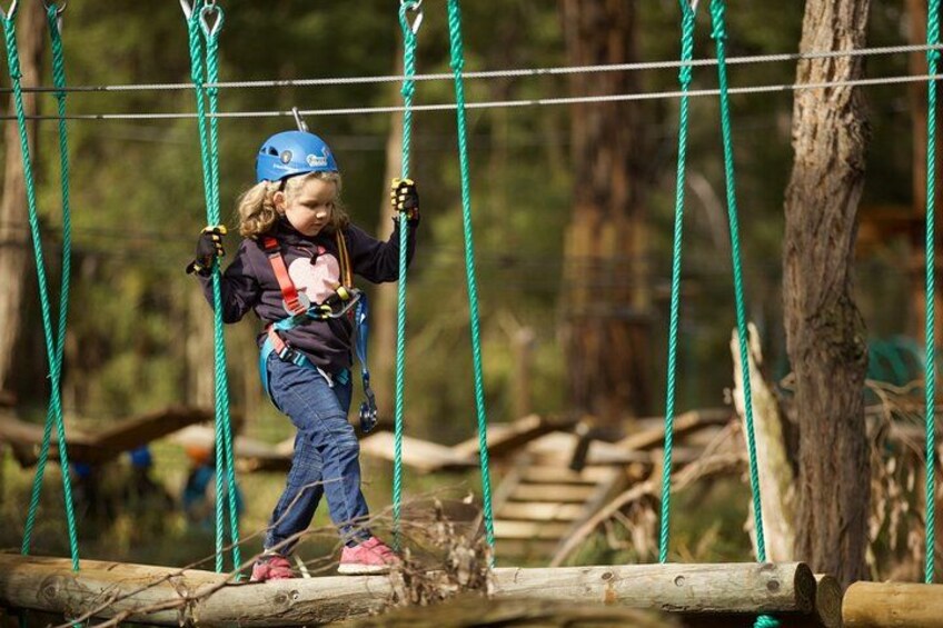 A child navigating a rope bridge in a forested area. 4