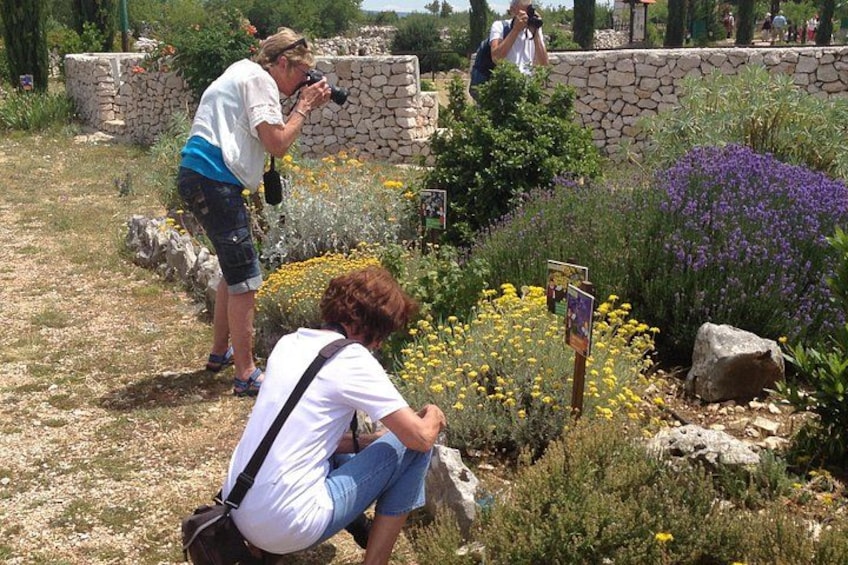 A garden with various flowers and a stone wall. 3