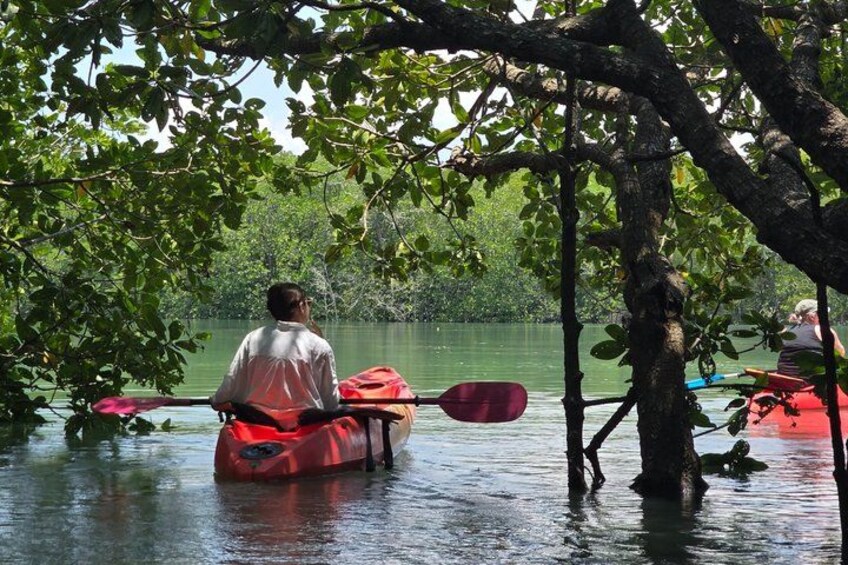 Phuket Deep Roots Jungle to Sea Kayaking and Trekking Adventure 2