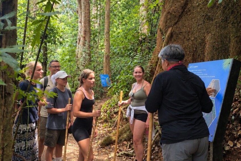 Phuket Deep Roots Jungle to Sea Kayaking and Trekking Adventure 4