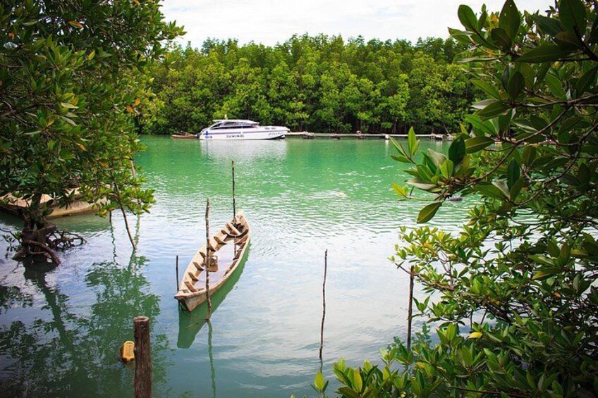 Phuket Deep Roots Jungle to Sea Kayaking and Trekking Adventure 2