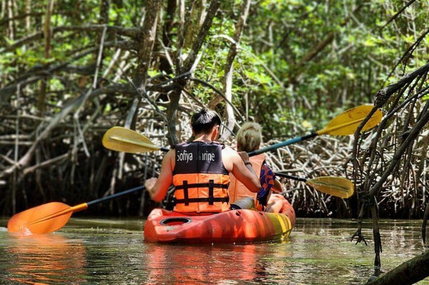Phuket Deep Roots Jungle to Sea Kayaking and Trekking Adventure 1
