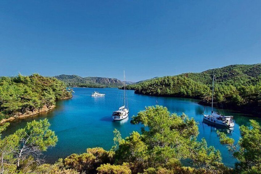 A calm bay with two sailboats anchored near the shore, surrounded by dense green trees and hills in the background. 2