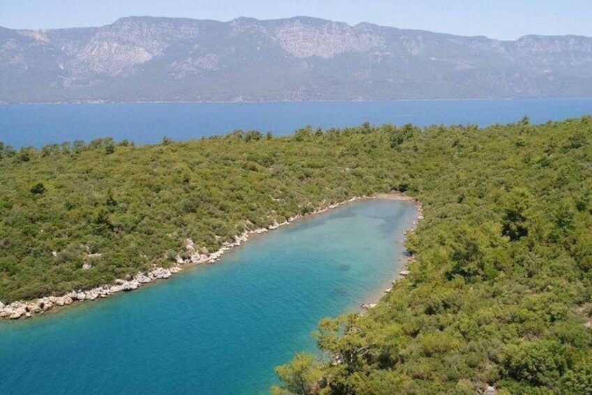 A turquoise bay surrounded by dense green forest, with mountains in the background. 5