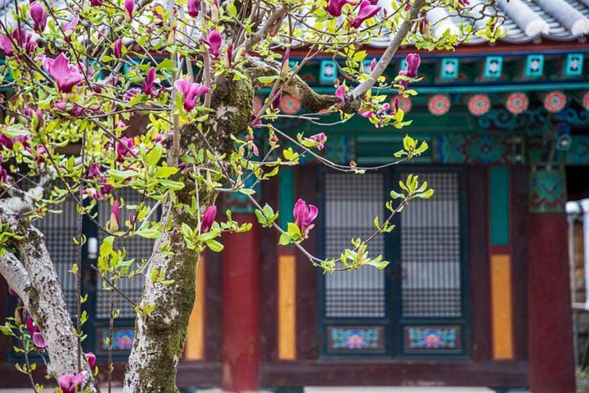 A tree with pink flowers in front of a traditional building with colorful patterns. 3