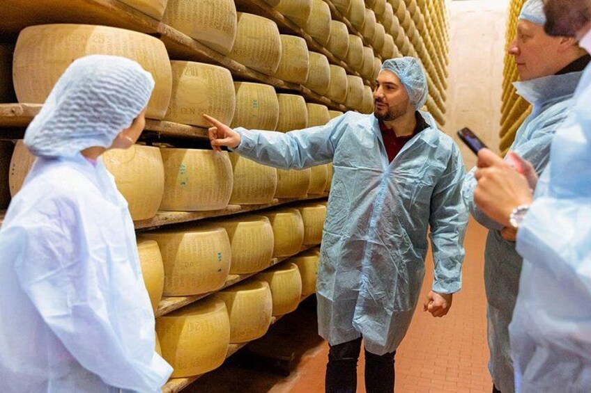 Parmigiano Reggiano Dairy Farm 2