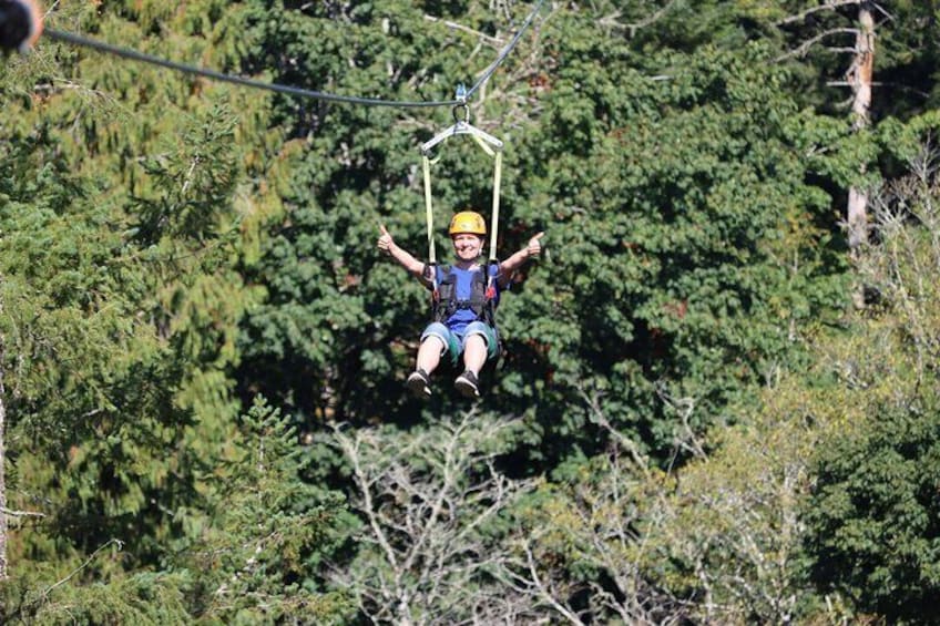 The Big Zip Experience 5