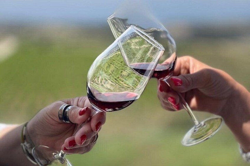 Dos manos sosteniendo copas de vino con un viñedo al fondo. 4