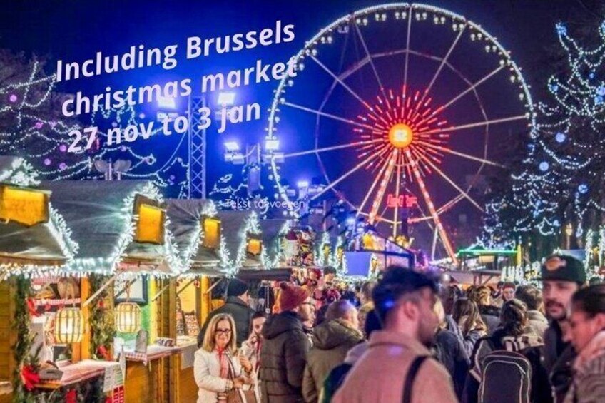 Antwerp and Brussels tour from Amsterdam with guide 2