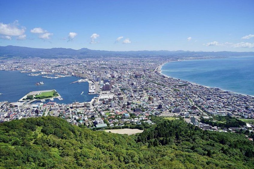 A coastal city with a dense urban area, a large body of water, and a forested hill in the foreground. 1