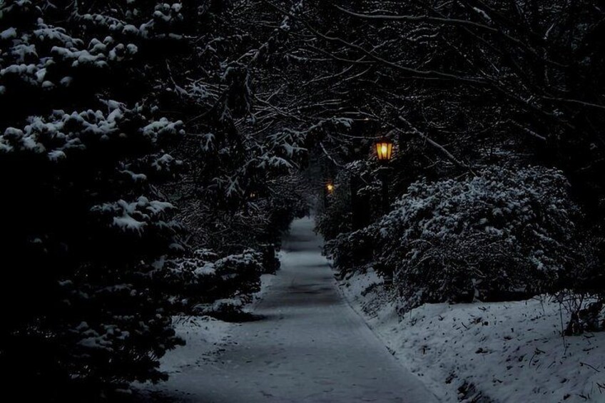 A snow-covered pathway flanked by trees and lit by street lamps. 2