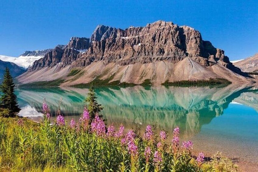 Calgary Columbia Icefield Adventure, Skywalk and Peyto Lake Tour 3