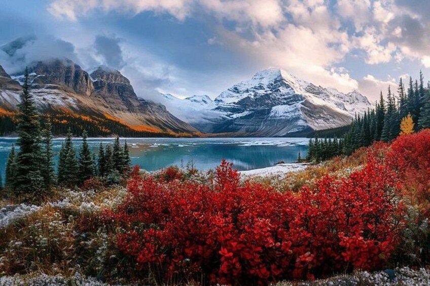 Calgary Columbia Icefield Adventure, Skywalk and Peyto Lake Tour 4