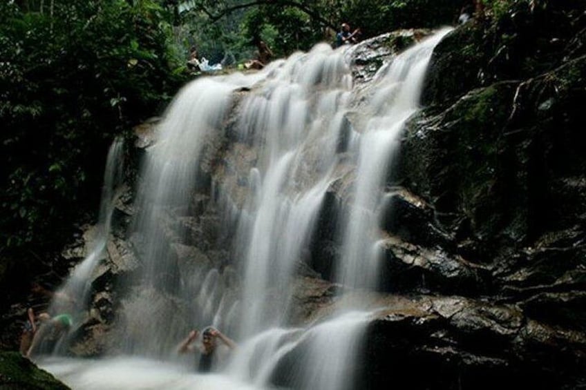 Ein Wasserfall stürzt über Felsen, umgeben von dichtem Grün. 1