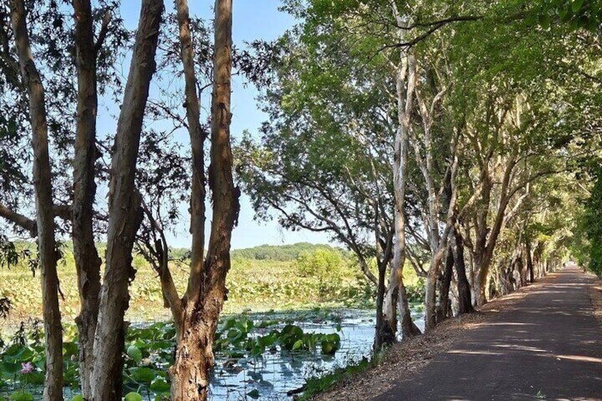 Croc Country Safaris 3