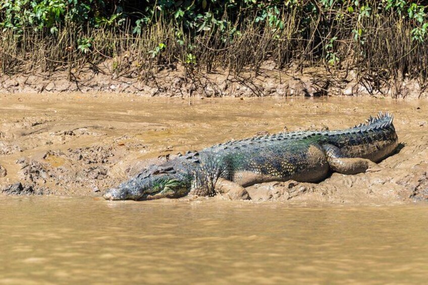 Darwin: Jumping Crocodiles & Land-based Barramundi Fishing 3