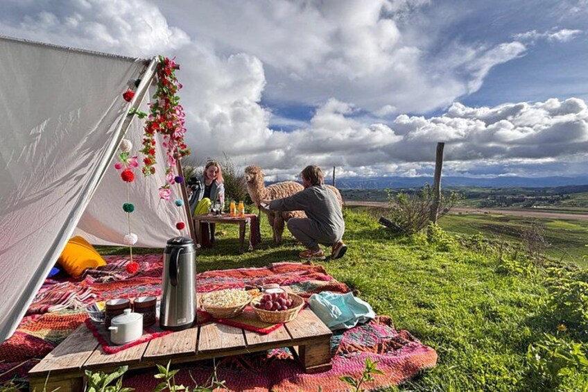 A tent set up on a grassy field with a picnic table, a metal water container, and a basket of food. 1