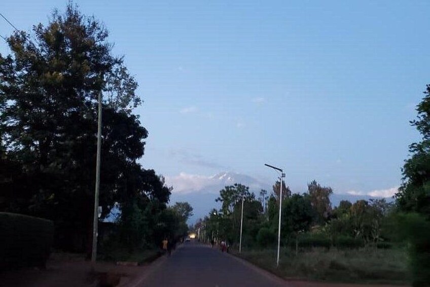 Carretera bordeada por árboles a ambos lados, cielo despejado y una montaña distante. 5