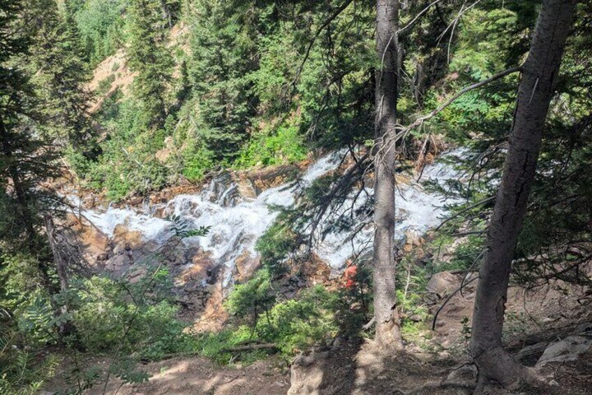 Salt Lake City's Guided Hiking Tour in the Rockies 4