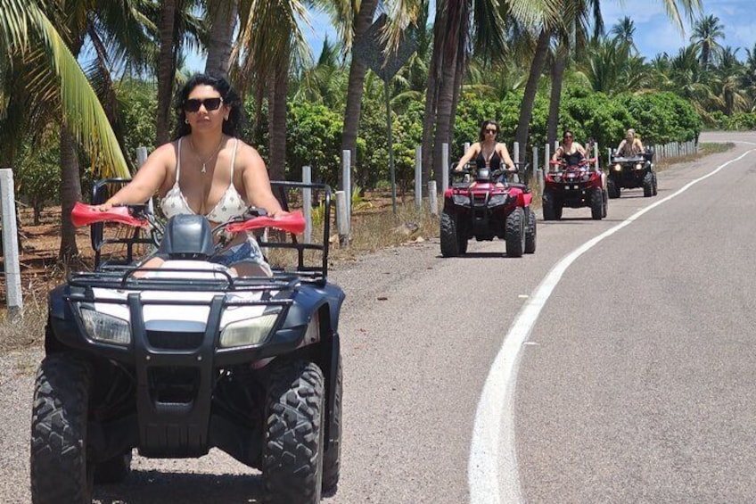A road with three ATVs and a person in a bikini. 3