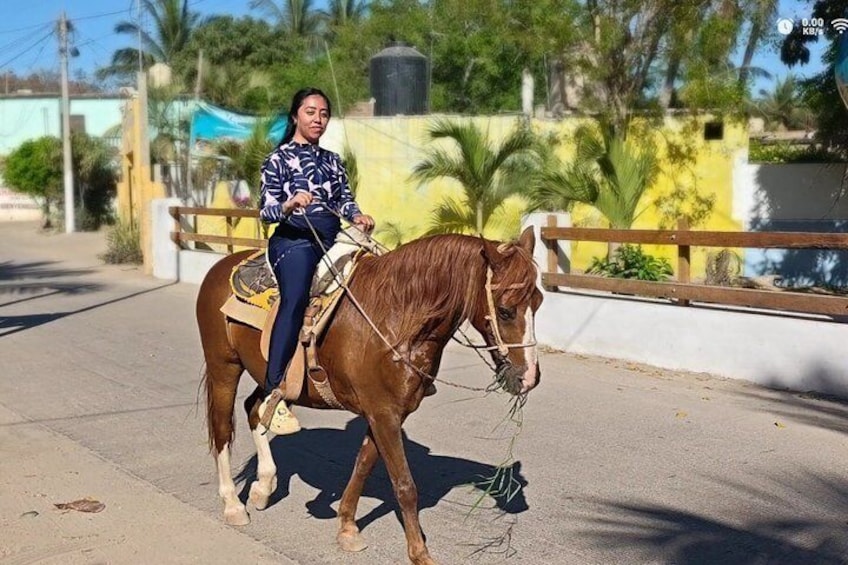 A person riding a horse on a paved road with a fence and greenery in the background. 4