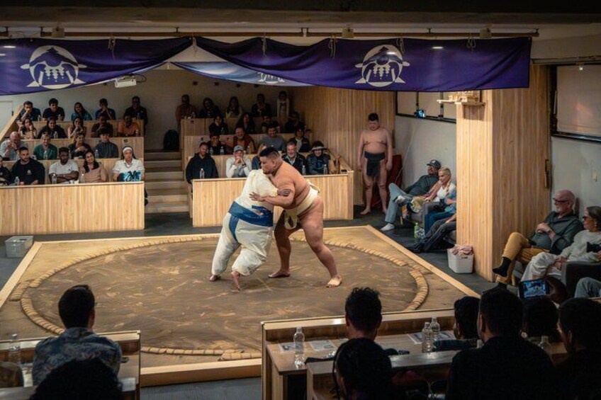 Tokyo Shinjuku Sumo Show & Experience with Photo 2