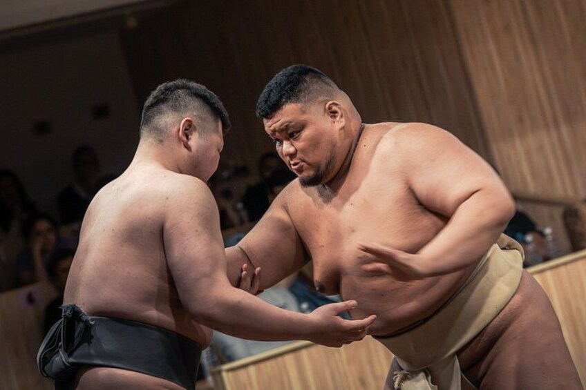 Tokyo Shinjuku Sumo Show & Experience with Photo 1