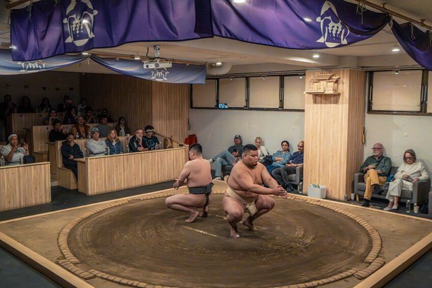 Tokyo Shinjuku Sumo Show & Experience with Photo 2